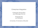 Enterprise Integration by Ian McNaney